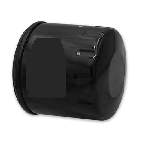 Filtre à huile moto pour Voge 900DSX DS900X LX900-C entretien