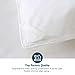 Oaken-Cat Feathers Down Comforter King - Organic Cotton Quilted Medium Warm All Seasons Duvet Insert or Stand-Alone Comforter (106x90, Ivory White)