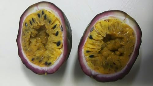 t[c pbVt[c 500g×20P P7-9 Ⓚ Ɩp