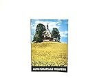  Loretokapelle Wolfegg : Patrozinium Mariä Heimsuchung 2. Juli ; Bistum Rottenburg-Stuttgart (früher Konstanz), Kreis Ravensburg (Württ.).