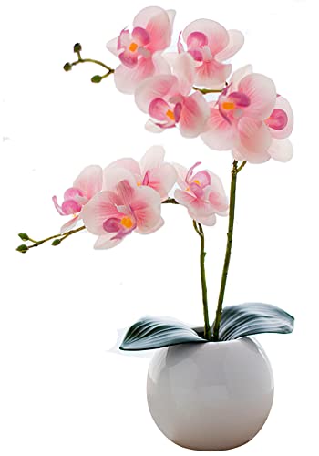 Kugusa ミニ 胡蝶蘭 造花 鉢植え インテリア 人工 観葉植物 フェイク 敬老の日 誕生日 (淡いピンク（丸鉢）)のサムネイル