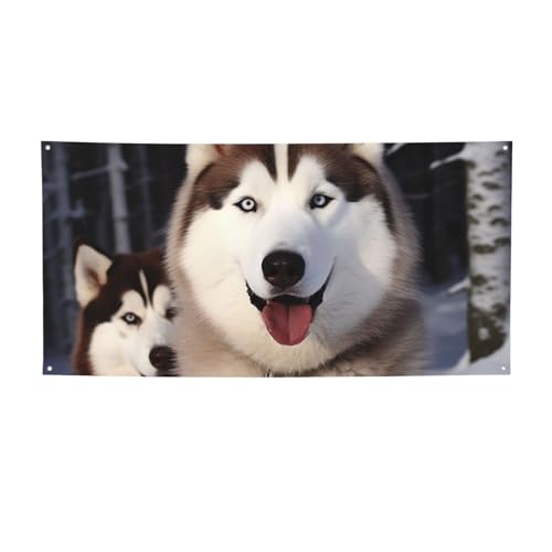 Huskies oi[TC O  a wi |X^[ p[eB[ fR[V pi ʐ^wi Obgt p[\iCY EH[oi[ tbO