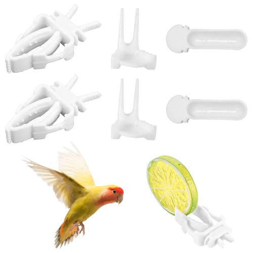 Set pratico: un set di 6 pezzi, comprendente una varietà di diverse forme di accessori per l'alimentazione per soddisfare le diverse esigenze nutrizionali degli uccelli, come: Ad esempio: mettere sott'aceto frutta e verdura, cereali e così via.