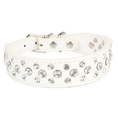 GerRiT CXg[pPUU[p֒߉\ȃt@bVLybgpiANZT[,,S