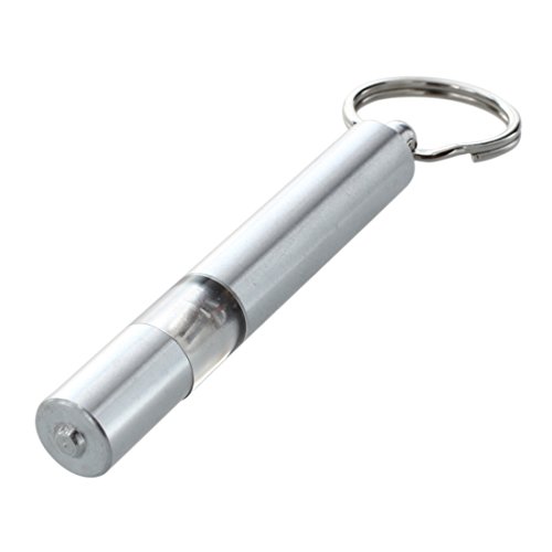 Sahkgye R Cylindre Anti-Statique Porte-cles Ton Argent Voiture electricite Statique Liberateur Dechargeur