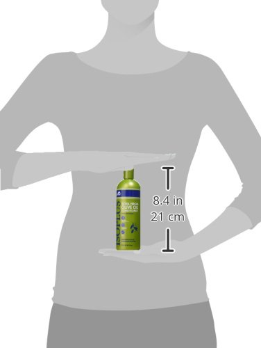Isoplus Extra Virgin Oilive Oil Conditioner, 16 Ounce #TOP2