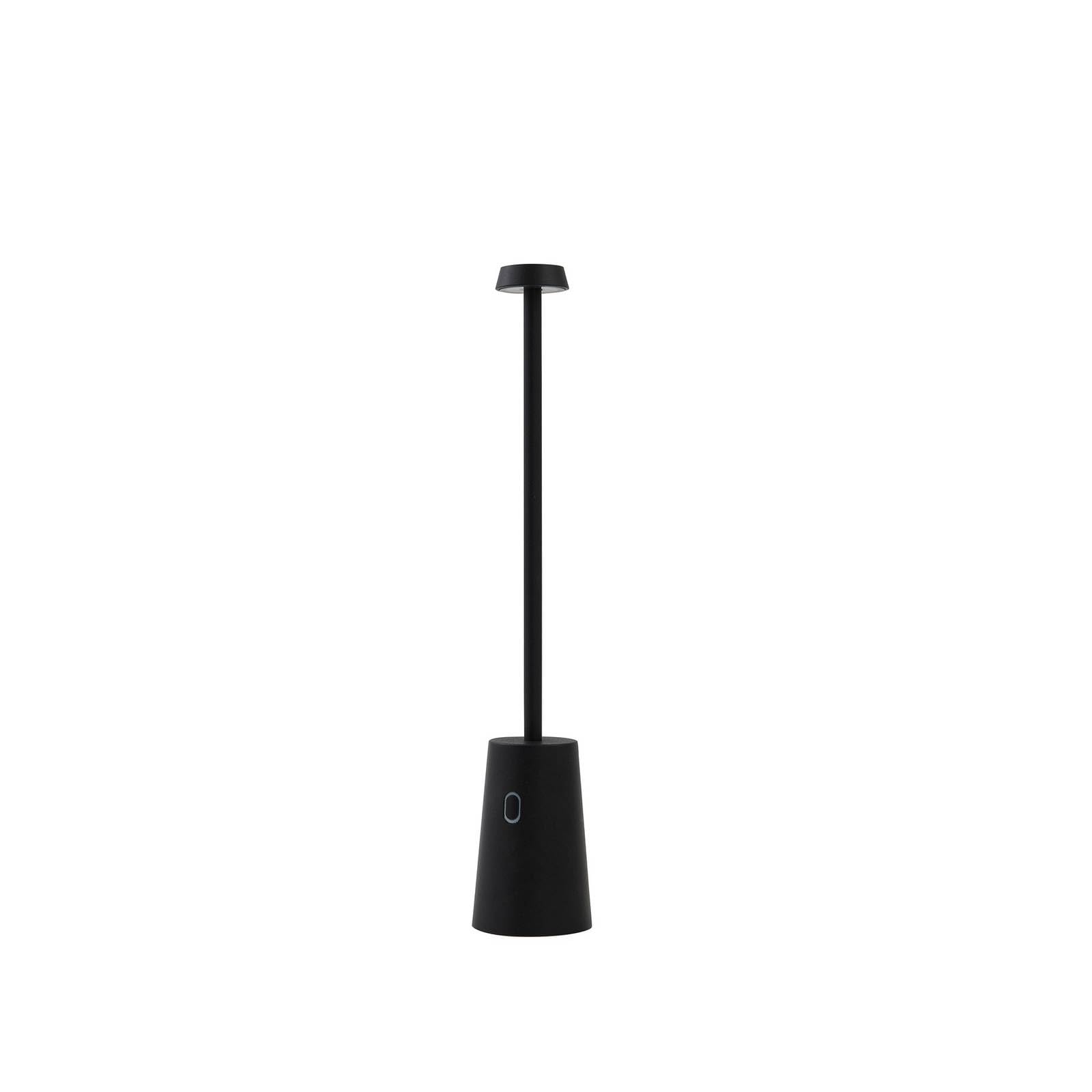 Lindby LED Luminaire de terrasse Noelani à intensité variable (Moderne) en Noir (1 lampe,à)