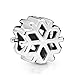 ZHANGCHEN 925 Sterling Silber Charm Polierte Schneeflocken Perlen Charm Fit Frauen Auflauf Armband & Halskette Schmuck