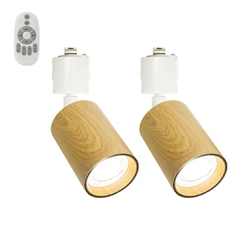 LEDスポットライト 調光調色 リモコン付き ダクトレール用 D-LND100-RE