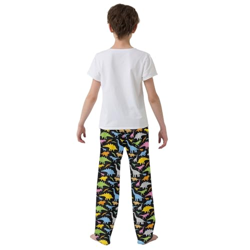 ZZXXB Dinosaurs Print Boys Long Pants Soft Trousers Elastic Waist Kids Lounge Bottoms with Pockets S-XL3