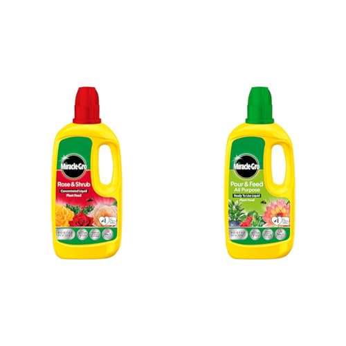 Image of Miracle-Gro Rose & Shrub Concentrated Plant Food, 800 ml & Pour and Feed Liquid Plant Food, 1L