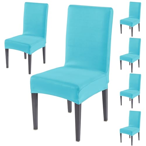 Image of HOKIPO 'SereneSolids' Stretchable 140 GSM Dining Chair Cover, Fully Covered - Set of 6, Sky Blue (AR-6246-SBL)