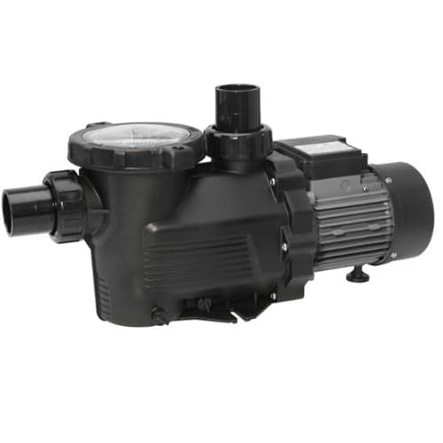 Pompa autoadescante per filtro a sabbia da 22 m3/h