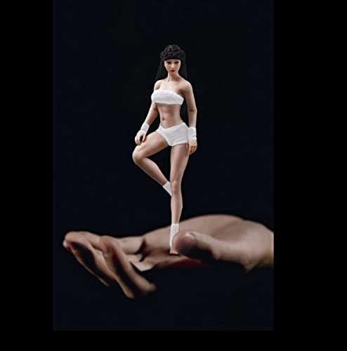 Figurine d'action corps flexible féminin idéal pour photographie et dessin