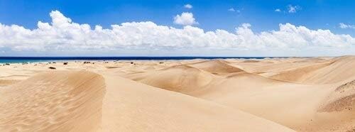 Posterazzi Sand Dunes on The Beach Maspalomas Gran Canaria Las Palmas España Islas Canarias (36 x 12) Varía Posterazzi Sand Dunes on The Beach Maspalomas Gran Canaria Las Palmas España Islas Canarias (36 x 12) Varía
