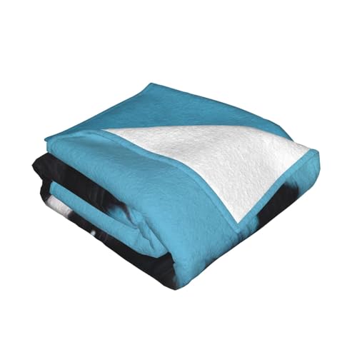 Couverture flanelle Border Collie super douce toutes saisons - 3