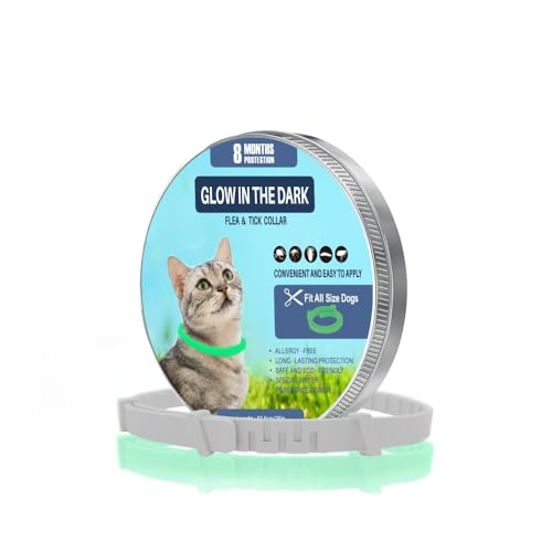 [GIIPET] L  m~ m~ _j \h 悯 ybg VR R a΍ Q쏜 Lp  VR A} h 8 ߉\ hJ[ybgpi t[TCY