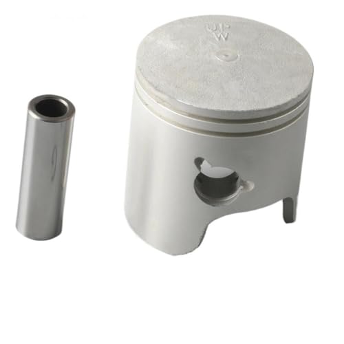 Outboard Motor 2-Stroke 40HP 50HP Piston Kit 6H4-11631-01 Std Two Ring 67MM Compatible With Boat Engine Models 6H4-11631-01-00 A