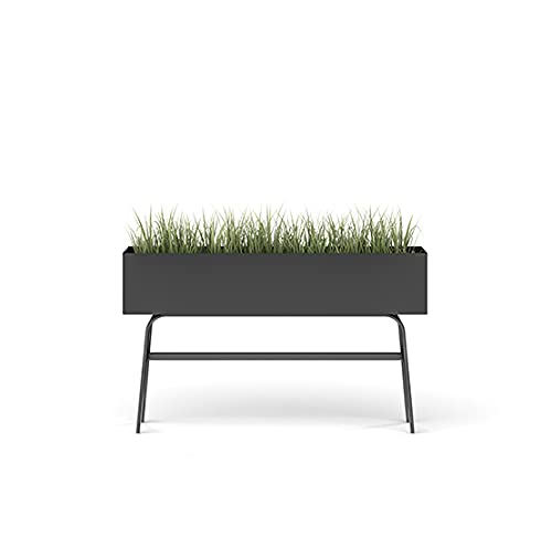 HNI India Avail Low: Ergonomic Indoor Plant Stand - Versatile Rack for Home/Office, Black
