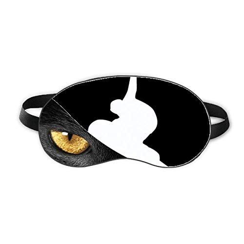 XP[g{[fBOEX|[cEubNEWṽVGbg xݖڂ̎Ռe