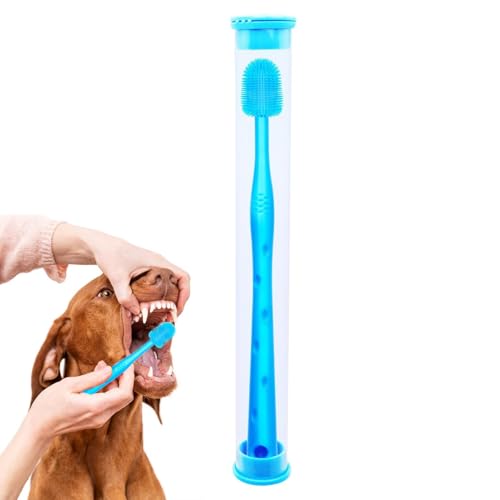 LpuV - ^pybgpuVÃN[jOALp΃PAuVA360 x]AuVwbhtAybgpuVAÃN[jOAnh̔LpuVAKȃybgpuV