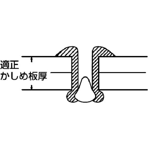 Amazon.co.jp: エビ ブラインドリベット(1000本入) ステンレス