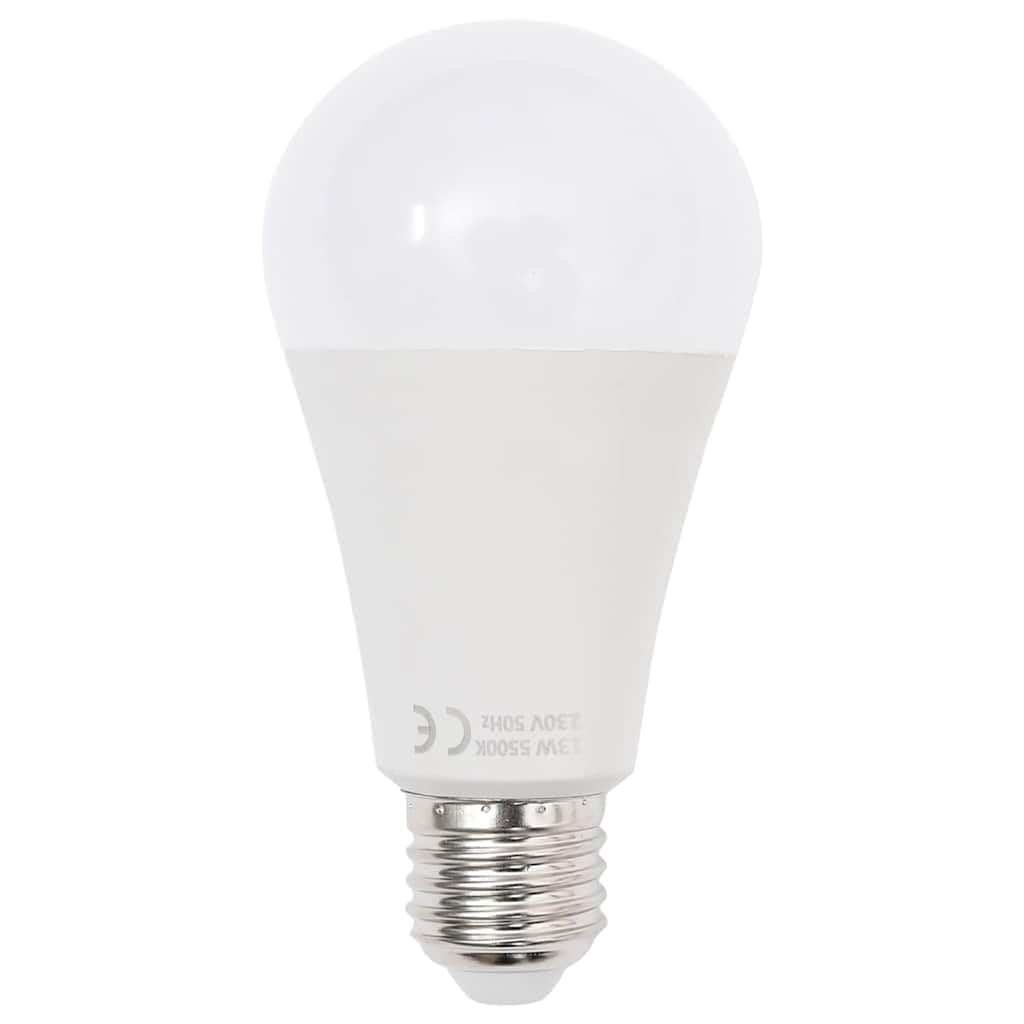 vidaXL Lampe de Studio Professionnelle Equipement de Photographie Système de Fond Prise de Photos Analogique de Produits Intérieur 60x40 cm