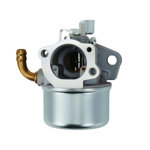 Carburateur Br St 223470 régulateur de flux thermique pour moteurs 591299