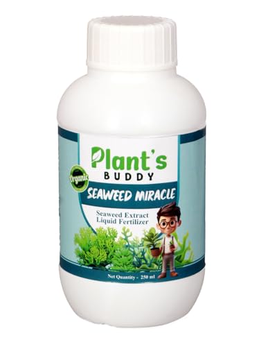 Image of PLANT'S BUDDY Seaweed Miracle - 100% Organic Seaweed Liquid Fertilizer for plant | Boosts Growth, Flowering, Fruit Quality & Soil Health | For All Plants - Foliar & Soil Application - 250ml