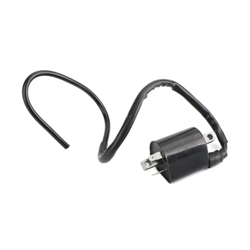 Bobine d'allumage 2GV-82310-21001 pour rouler en Virago 535 l'esprit libre