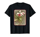 Beautiful Flowers Garden Lovers and Plants Artwork
