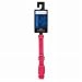 Zack & Zoey 10 to 16-Inch Nylon Dog Neck Collar, Raspberry Sorbet