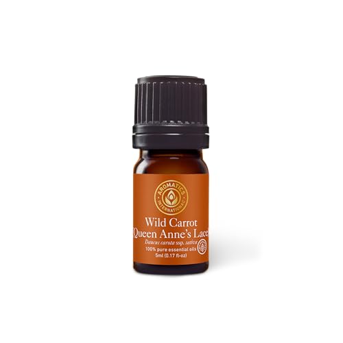 Aceite Esencial Puro de Semilla de Zanahoria Orgánico 5ml