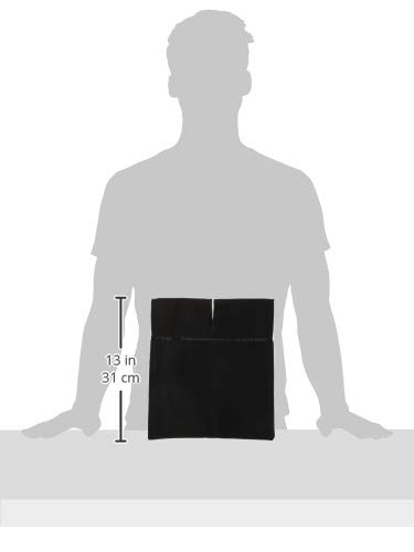 Champro Professional Umpire Ball Bag