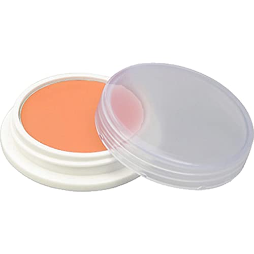 フェイスカラー 高発色 マット ペイントカラー 舞台用 コスプレ ハロウィン プロメイク No.11 舞台屋