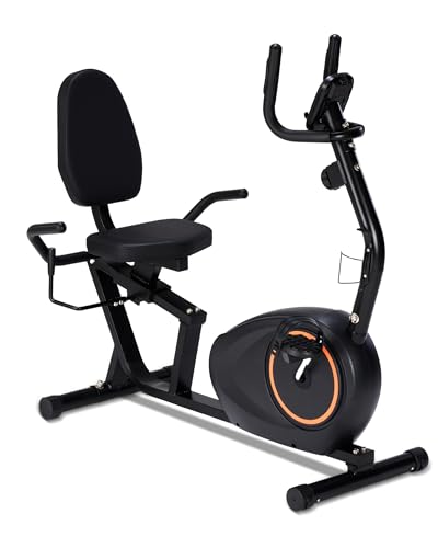 Recumbent Exercise Bike for...