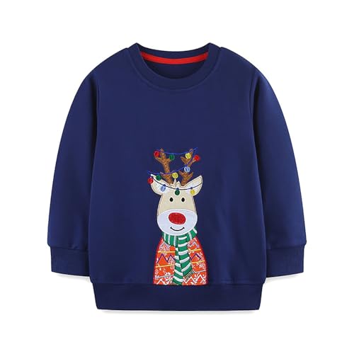Boys Sweatshirts Casual Sweatshirts Cotton Sweatshirts Long Sleeve T-shirts Crew Neck Cartoon Tops for Boys-330