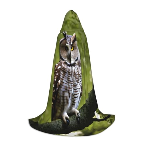 Costume médiéval de cape à capuche unisexe motif hibou pour cosplay