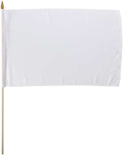 Amazon.com : Quality Standard Flags STIBwhite One Dozen White Stick ...