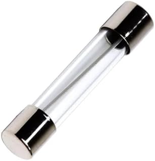 فيوز زجاجي 9 أمبير 250 فولت نوع T (6 × 30 ملم) (10 قطع).