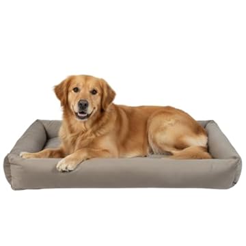 Cama Para Pet Gigante Xg Conforto Luxo Impermeável (Cinza)