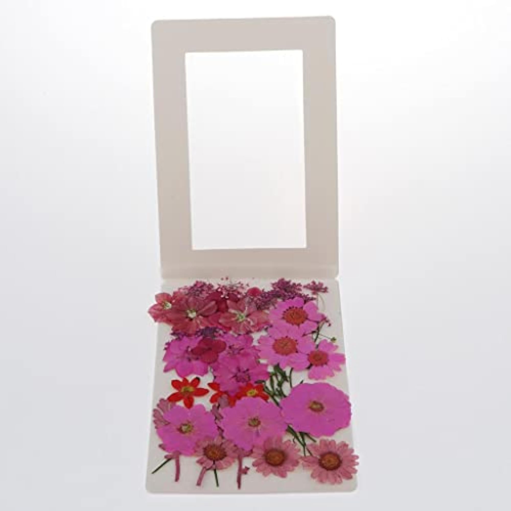 36/37/38/39/42Pc Natural Real Pressed Dried Flowers