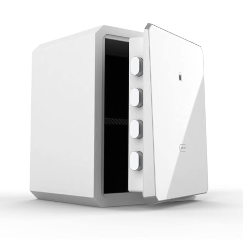 Fingerprint-Password-Safe-Box-with-Key-Cabinets-for-Home-OffcieLock-BoxSecurity-BoxBiometric-safeW-series-21Cubic-feet-BOFON
