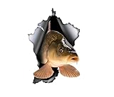 Photo Gallery alanze 2 adesivi divertenti a forma di pesce per auto, 14 x 20 cm Photo Gallery alanze 2 adesivi divertenti a forma di pesce per auto, 14 x 20 cm