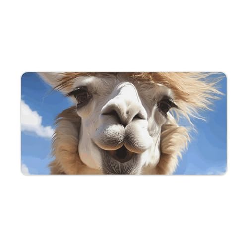 Funny Alpaca Llama �f�X�N�}�b�g �h�� ���C�e�B���O�}�E�X�p�b�h ��^ �I�t�B�X�f�X�N�p�b�h �v���e�N�^�[ ����~�� �m�[�g�p�\�R�� �f�X�N�v���e�N�^�[ �f�X�N�u���b�^�[ �S�����L�[�{�[�h�}�b�g �d��/�z�[���f�R���[�V�����p 12�C���` 