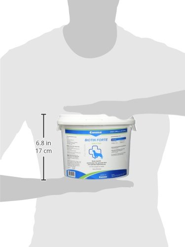 Biotin Forte Tabletten 2000g