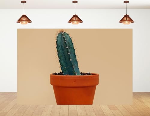 12x10ft Blue Green Cactus in Terracotta Pot Backdrop Minimalist Beige