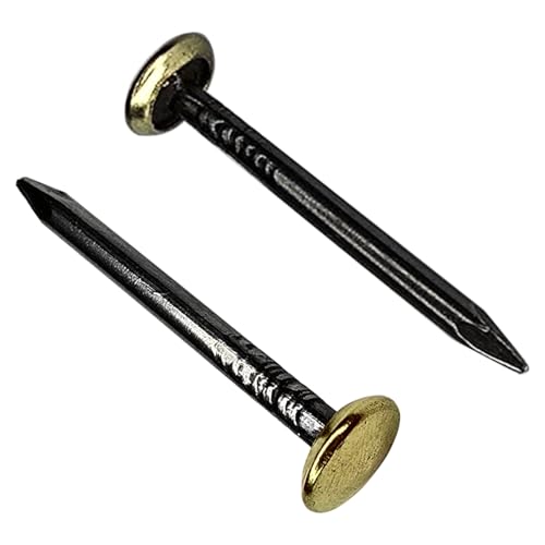 cyclingcolors 20 x mosiężne złote szerokie gwoździe stalowe gwoździe do montażu na ścianach zdjęcia dekoracyjne obrazy 2x40mm