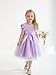 Sinhoon Toddler Girl Tulle Dress Summer Ruffle Sleeveless Baby Girl Fashion Casual Dresses(purple,3T)