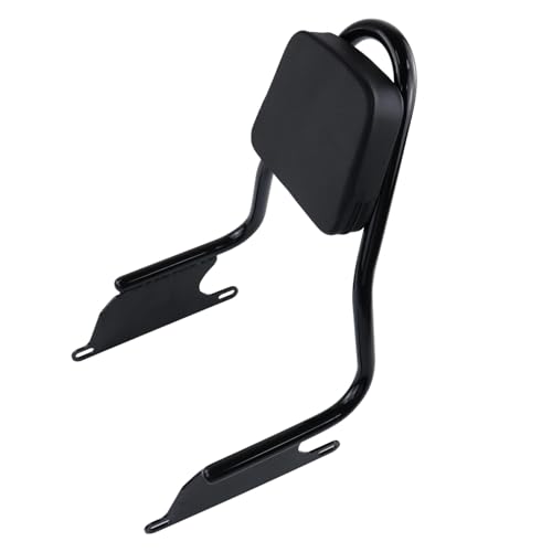 Dossier passager BMW R18B avec coussin sissy bar et grille de transport noire